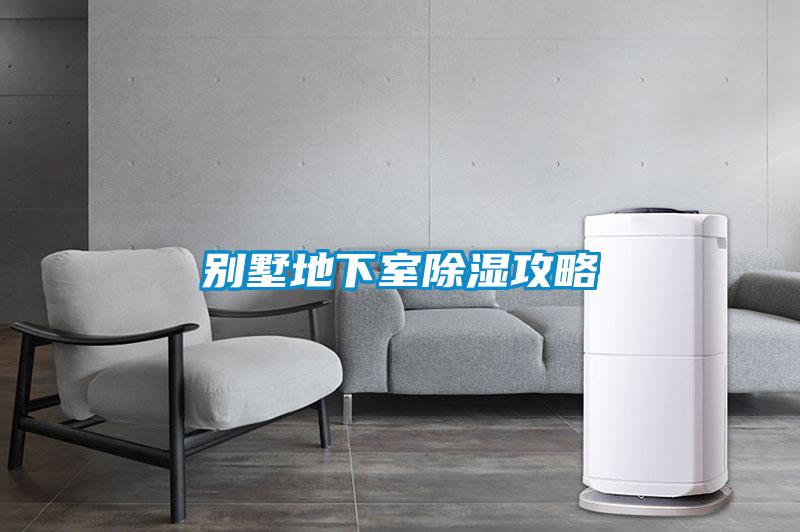 別墅地下室除濕攻略