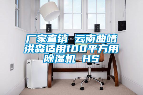 廠家直銷 云南曲靖洪森適用100平方用除濕機 HS