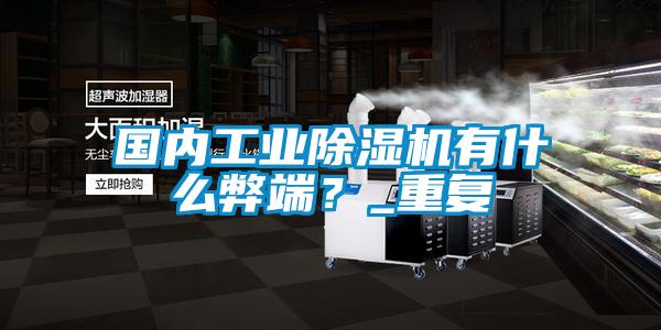 國內工業除濕機有什么弊端？_重復