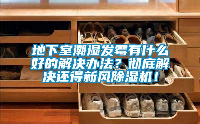 地下室潮濕發霉有什么好的解決辦法？徹底解決還得新風除濕機！