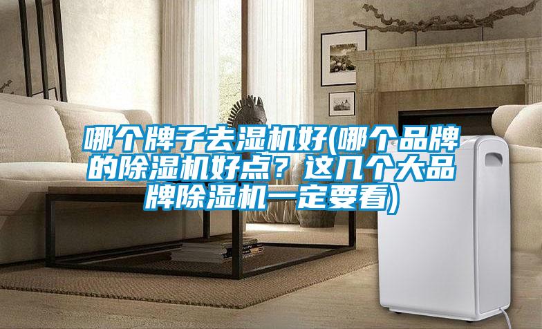 哪個牌子去濕機好(哪個品牌的除濕機好點？這幾個大品牌除濕機一定要看)