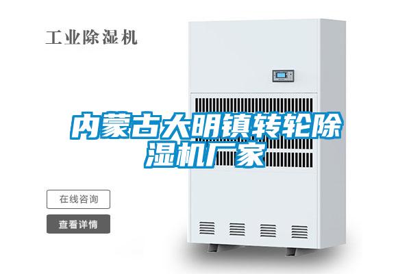 內蒙古大明鎮轉輪除濕機廠家