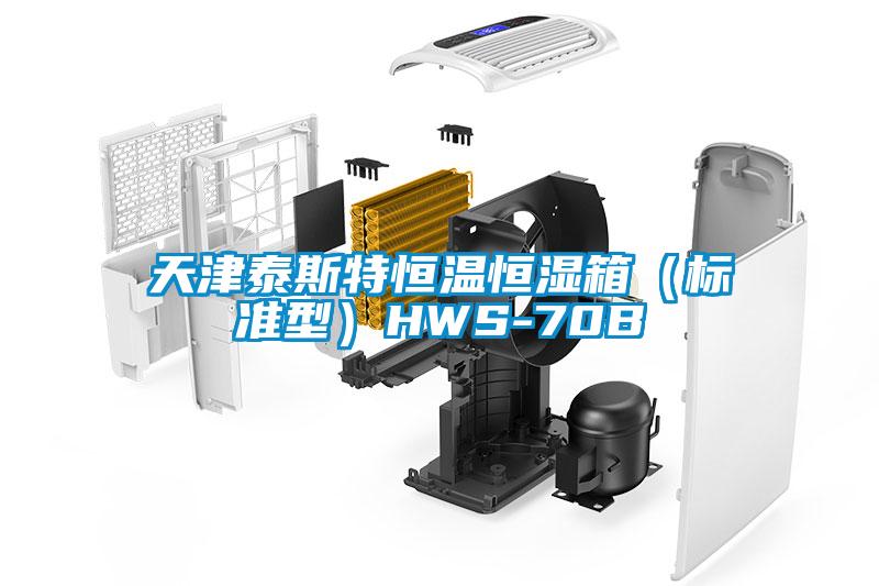 天津泰斯特恒溫恒濕箱（標準型）HWS-70B
