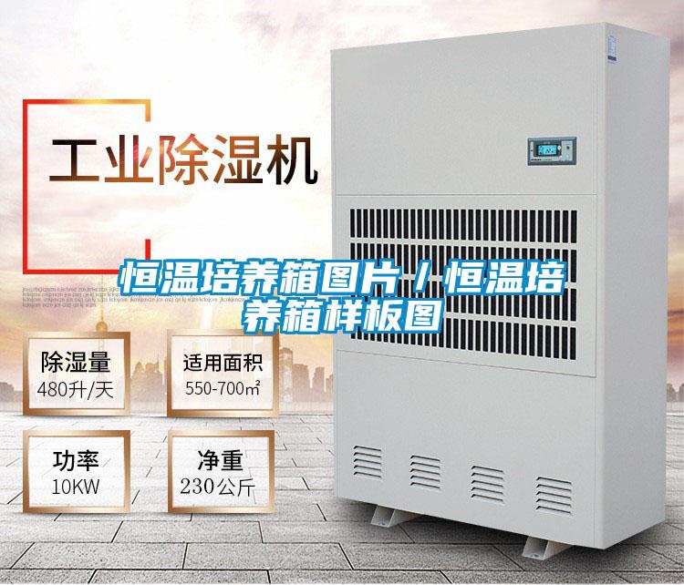 恒溫培養(yǎng)箱圖片／恒溫培養(yǎng)箱樣板圖