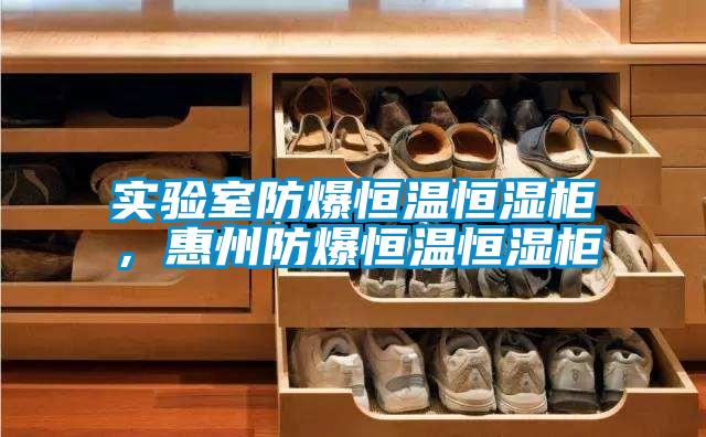 實驗室防爆恒溫恒濕柜，惠州防爆恒溫恒濕柜