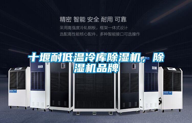 十堰耐低溫冷庫除濕機，除濕機品牌