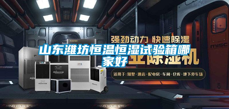 山東濰坊恒溫恒濕試驗箱哪家好
