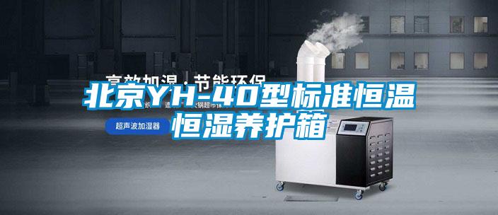 北京YH-40型標(biāo)準(zhǔn)恒溫恒濕養(yǎng)護(hù)箱