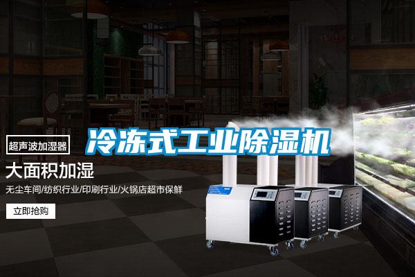 冷凍式工業除濕機