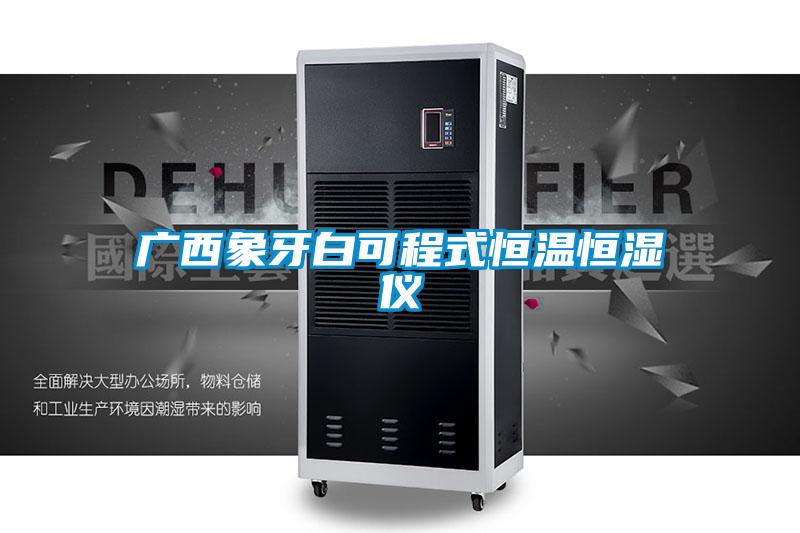 廣西象牙白可程式恒溫恒濕儀