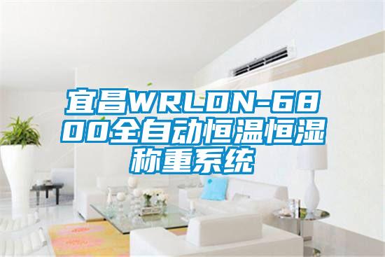 宜昌WRLDN-6800全自動恒溫恒濕稱重系統