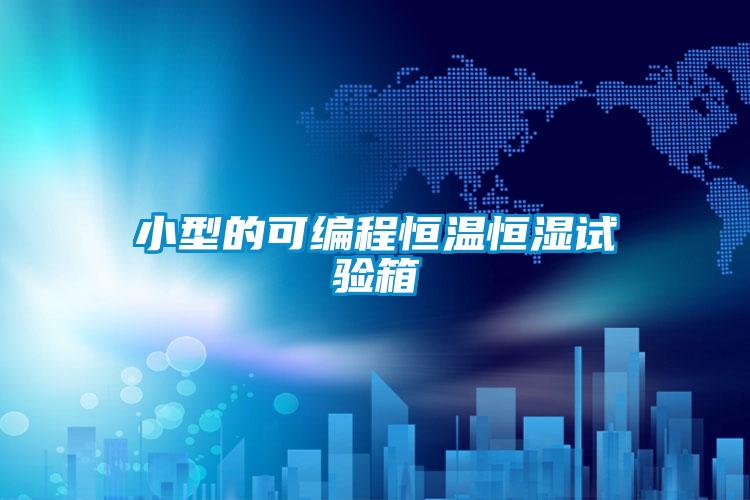 小型的可編程恒溫恒濕試驗(yàn)箱