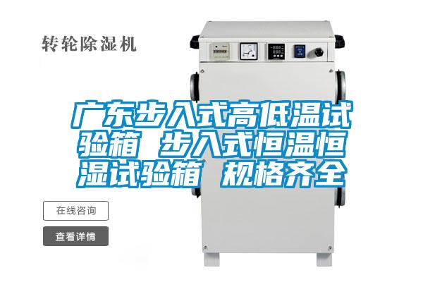 廣東步入式高低溫試驗箱 步入式恒溫恒濕試驗箱 規格齊全