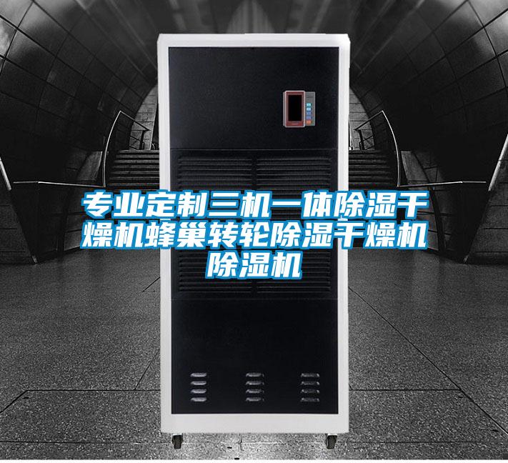 專業(yè)定制三機一體除濕干燥機蜂巢轉輪除濕干燥機除濕機