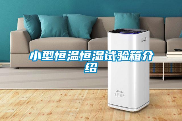 小型恒溫恒濕試驗箱介紹
