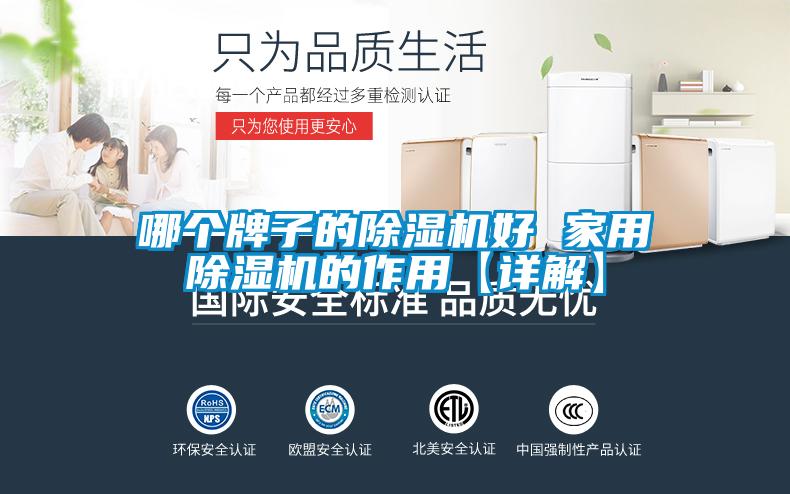 哪個(gè)牌子的除濕機(jī)好 家用除濕機(jī)的作用【詳解】