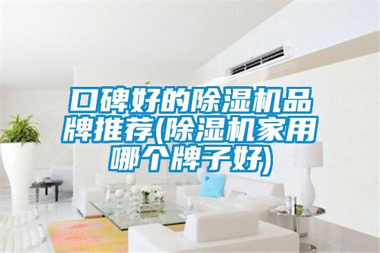 口碑好的除濕機品牌推薦(除濕機家用哪個牌子好)