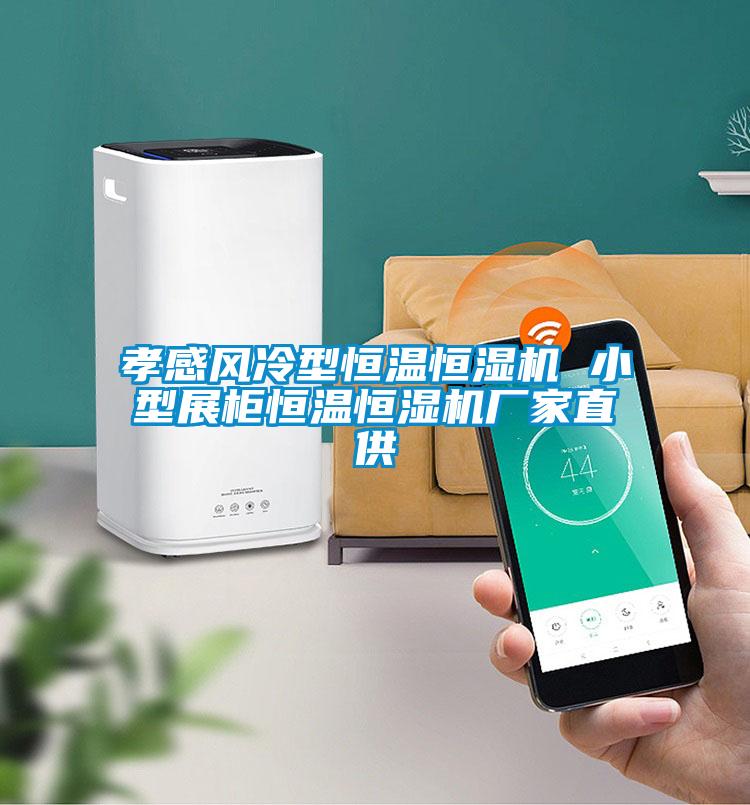 孝感風(fēng)冷型恒溫恒濕機(jī) 小型展柜恒溫恒濕機(jī)廠家直供