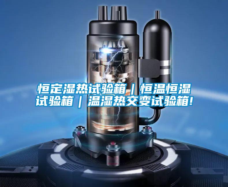 恒定濕熱試驗(yàn)箱｜恒溫恒濕試驗(yàn)箱｜溫濕熱交變?cè)囼?yàn)箱!