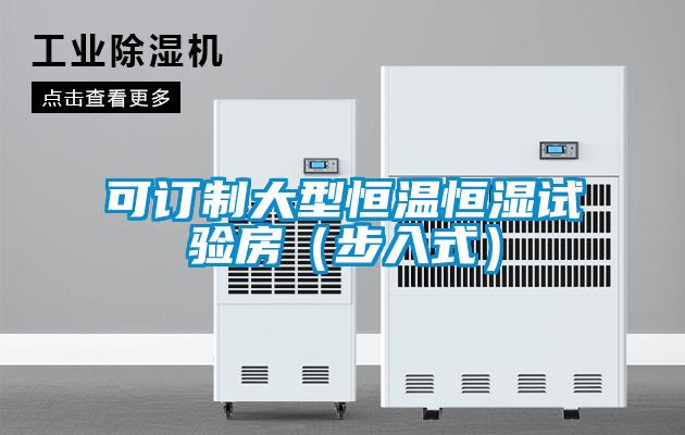 可訂制大型恒溫恒濕試驗(yàn)房（步入式）