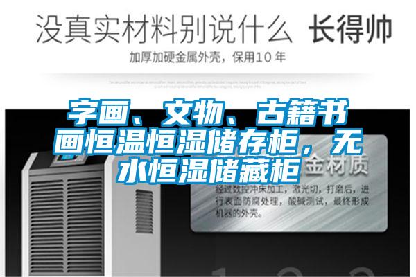 字畫、文物、古籍書畫恒溫恒濕儲(chǔ)存柜，無(wú)水恒濕儲(chǔ)藏柜