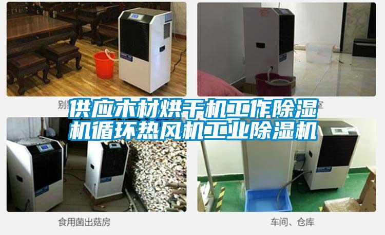 供應(yīng)木材烘干機工作除濕機循環(huán)熱風(fēng)機工業(yè)除濕機