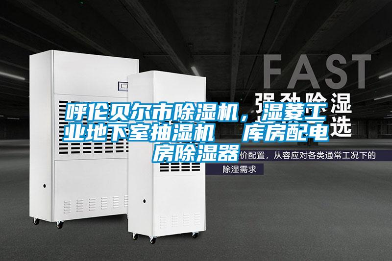 呼倫貝爾市除濕機，濕菱工業(yè)地下室抽濕機  庫房配電房除濕器