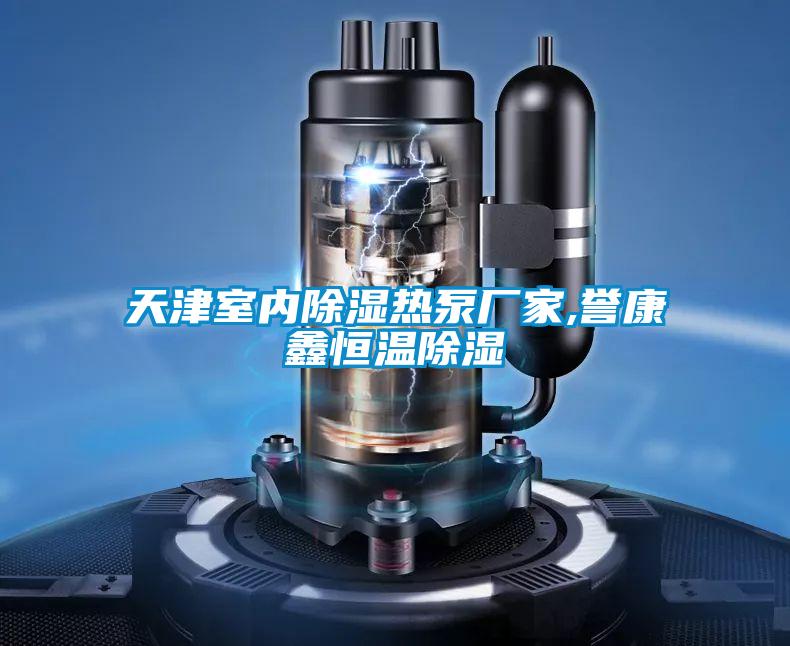 天津室內除濕熱泵廠家,譽康鑫恒溫除濕