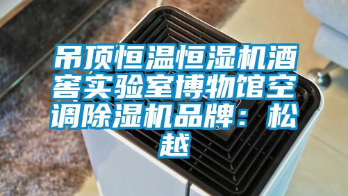 吊頂恒溫恒濕機酒窖實驗室博物館空調除濕機品牌:松越
