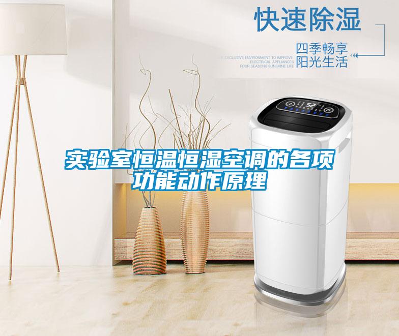 實驗室恒溫恒濕空調的各項功能動作原理