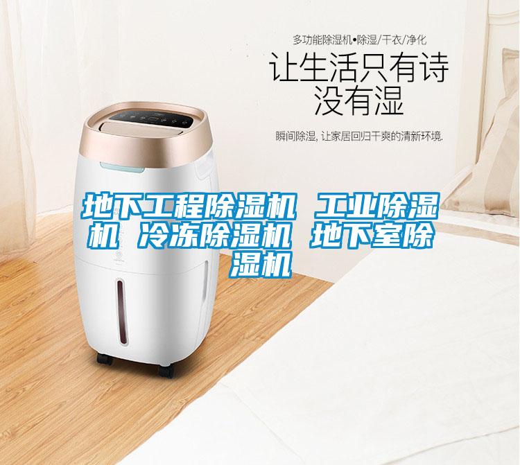 地下工程除濕機 工業除濕機 冷凍除濕機 地下室除濕機