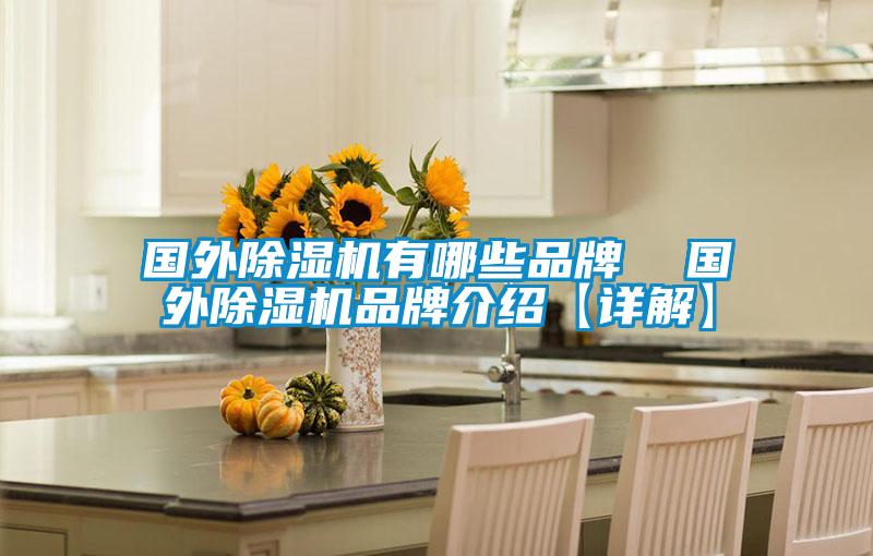 國外除濕機有哪些品牌 國外除濕機品牌介紹【詳解】