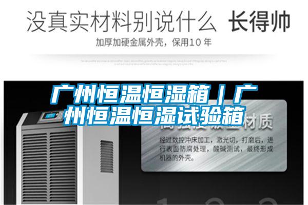 廣州恒溫恒濕箱｜廣州恒溫恒濕試驗(yàn)箱