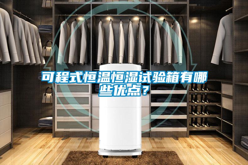 可程式恒溫恒濕試驗箱有哪些優點？