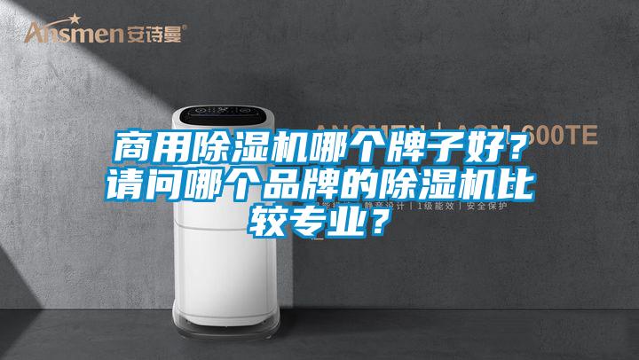 商用除濕機哪個牌子好？請問哪個品牌的除濕機比較專業？