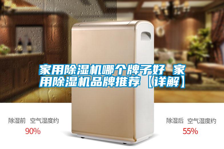家用除濕機哪個牌子好 家用除濕機品牌推薦【詳解】