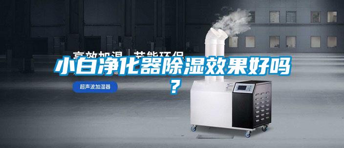 小白凈化器除濕效果好嗎？