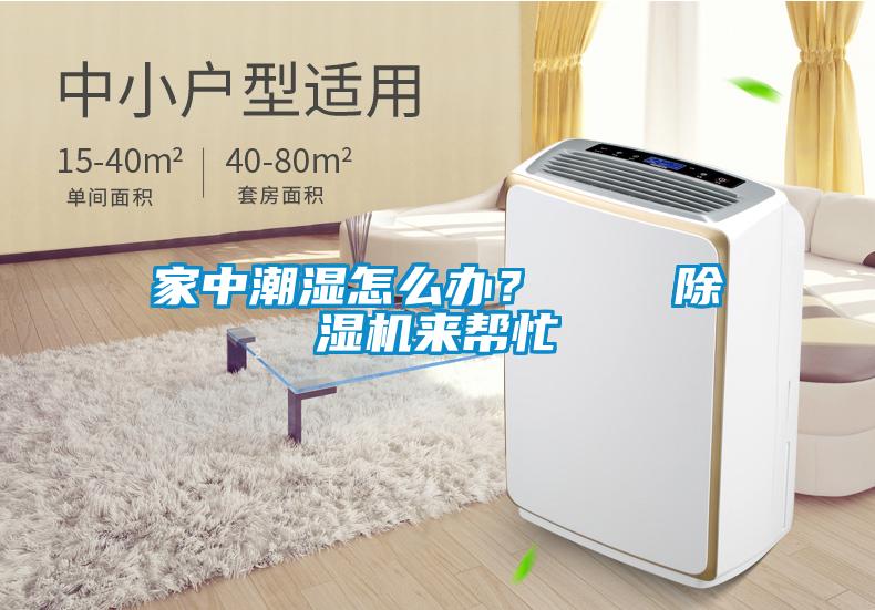 家中潮濕怎么辦? 除濕機來幫忙