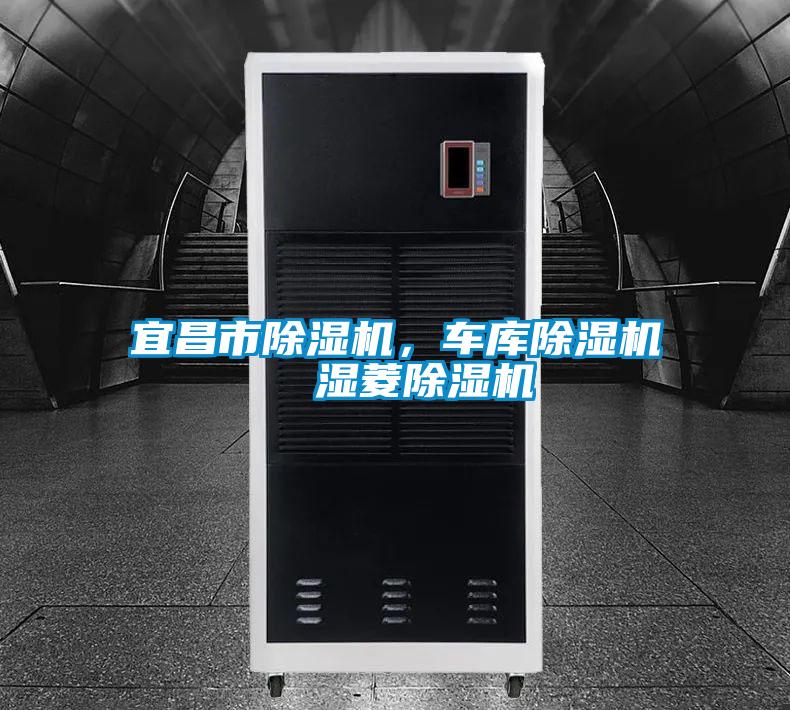 宜昌市除濕機(jī)，車庫除濕機(jī)  濕菱除濕機(jī)