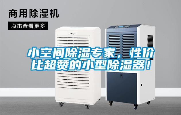 小空間除濕專家，性價比超贊的小型除濕器！