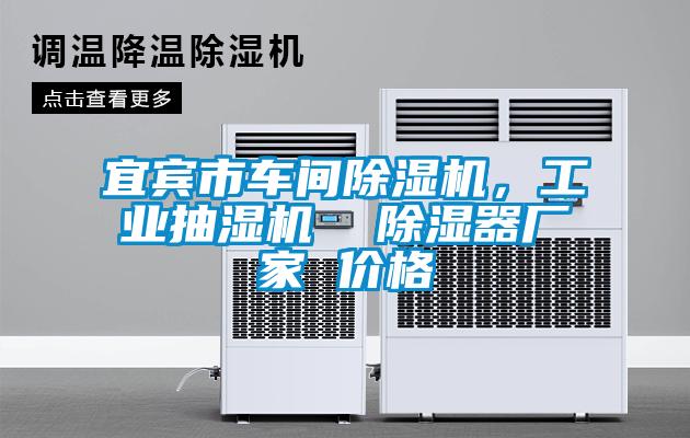 宜賓市車間除濕機(jī),工業(yè)抽濕機(jī) 除濕器廠家 價格