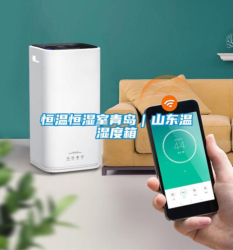 恒溫恒濕室青島|山東溫濕度箱