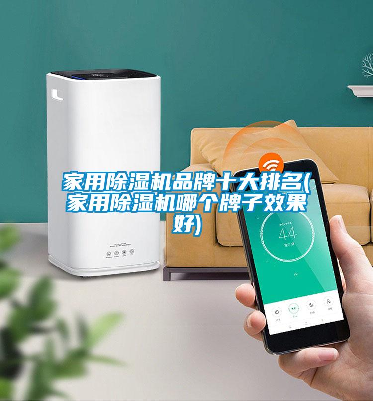 家用除濕機品牌十大排名(家用除濕機哪個牌子效果好)