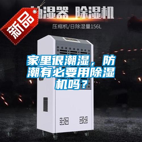 家里很潮濕，防潮有必要用除濕機嗎？