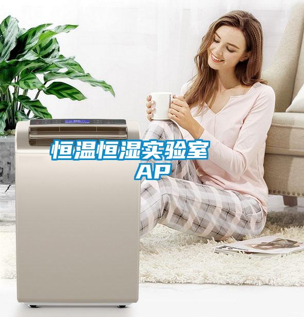 恒溫恒濕實(shí)驗(yàn)室   AP
