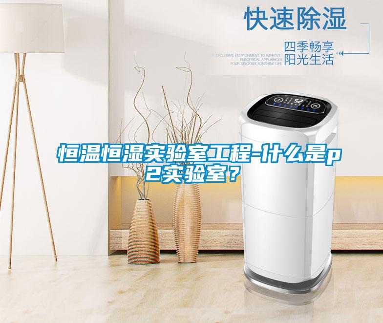 恒溫恒濕實驗室工程-什么是p2實驗室?
