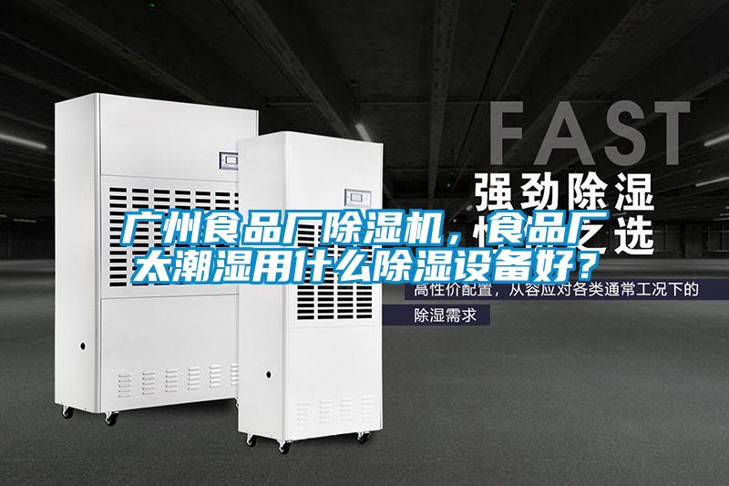 廣州食品廠除濕機，食品廠太潮濕用什么除濕設備好？
