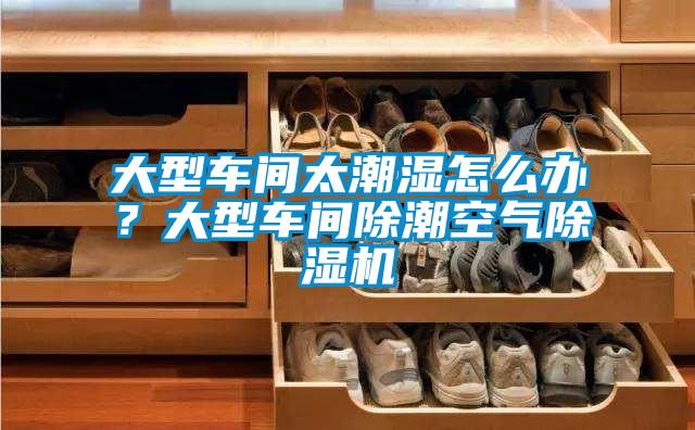 大型車間太潮濕怎么辦？大型車間除潮空氣除濕機
