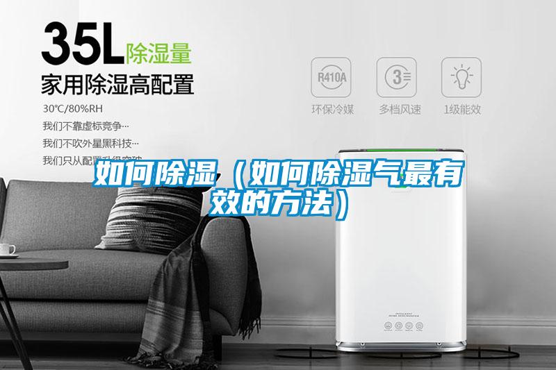 如何除濕(如何除濕氣最有效的方法)