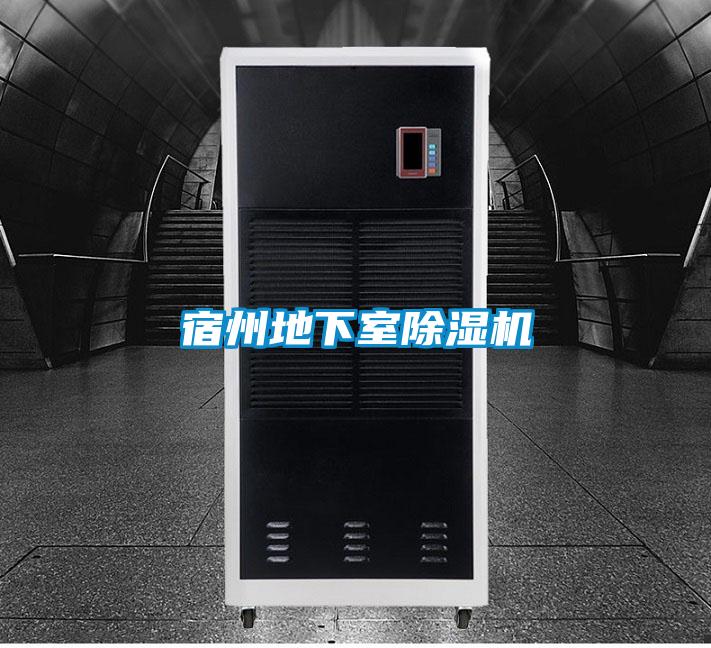 宿州地下室除濕機